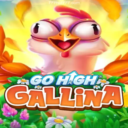 Dive into the Exciting World of GoHighGallina